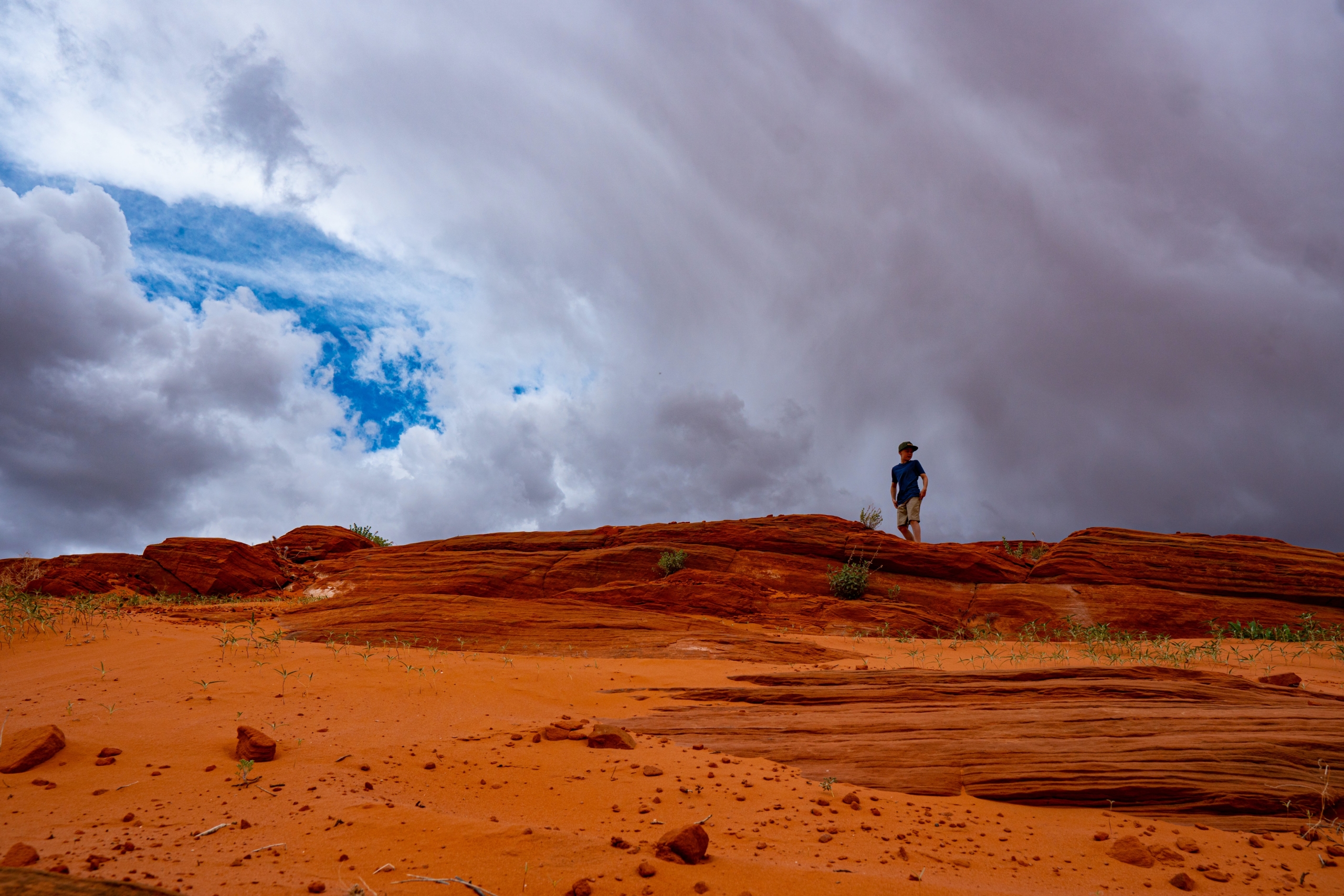 joshua-gresham-VGOO9tBebc0-unsplash
