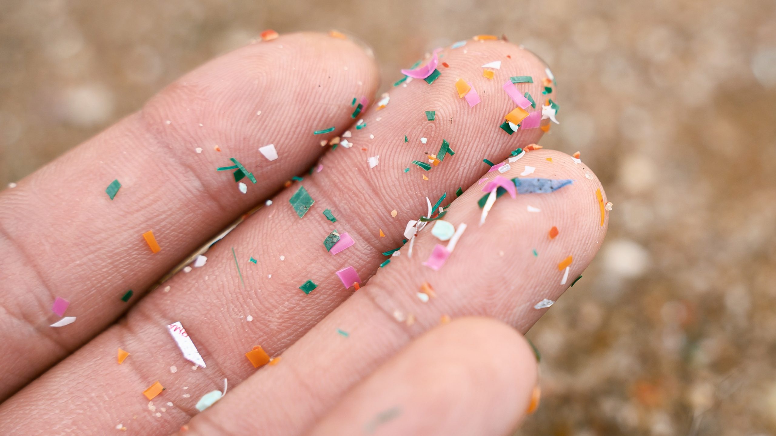 マイクロプラスチック 環境